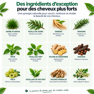 Shampoing Solide Densité Hairbora – 100% Naturel