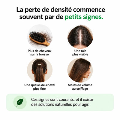 Shampoing Solide Densité Hairbora – 100% Naturel
